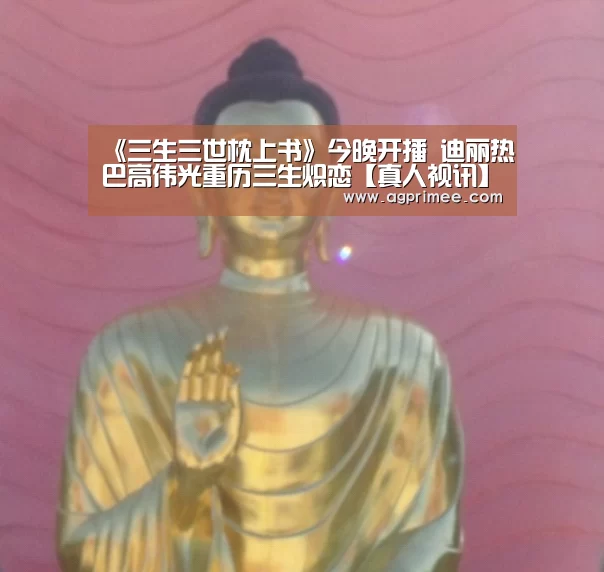 AG真人娱乐