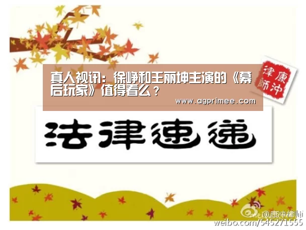 真人视讯:徐峥和王丽坤主演的《幕后玩家》值得看么?(图3) AG真人娱乐