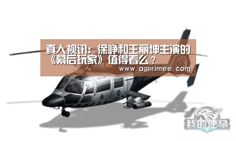 真人视讯:徐峥和王丽坤主演的《幕后玩家》值得看么?(图2) AG真人官网