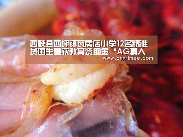 AG真人官网