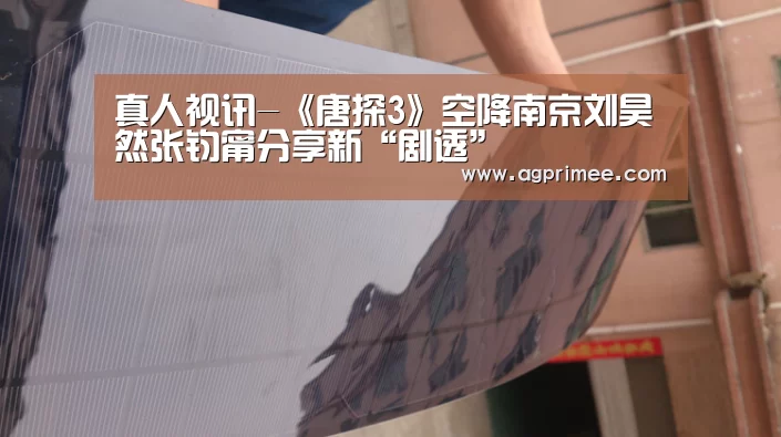 真人视讯