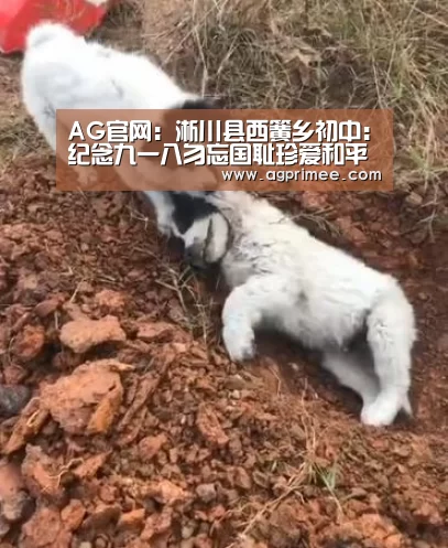 AG官网