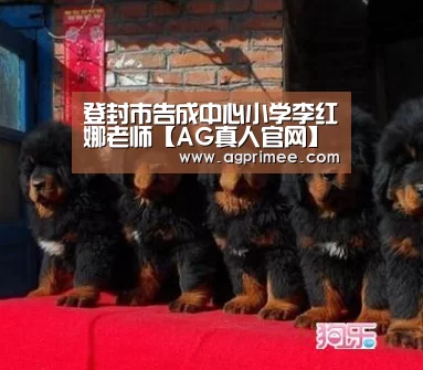 AG官网