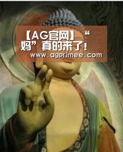 AG官网