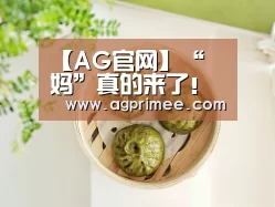 真人视讯