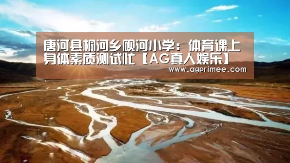 AG真人官网