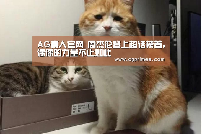 真人视讯