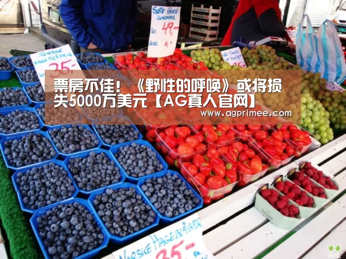 真人视讯