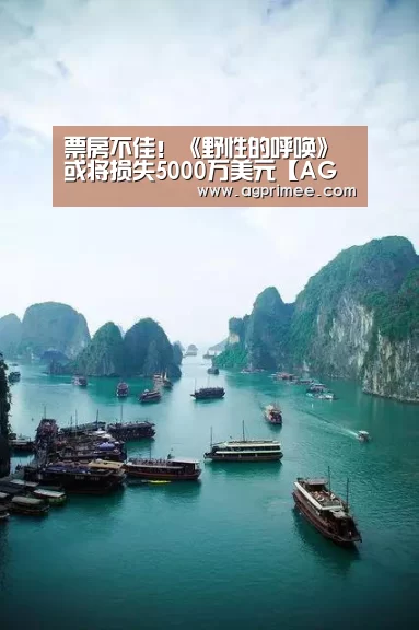 AG官网