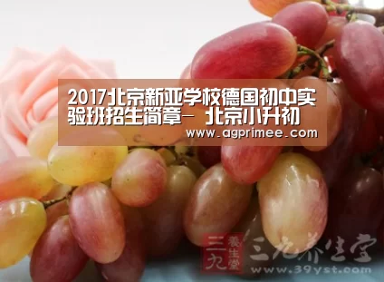 AG真人娱乐